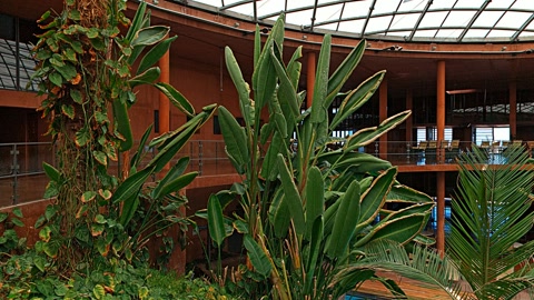 Garden panorama — Stillmotion