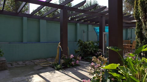 Guesthouse gardens — Stillmotion