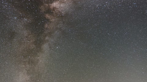 Hunter of the night — Stillmotion